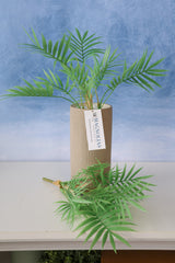 Carpe Diem Mini Palm Bush