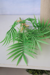 Carpe Diem Mini Palm Bush