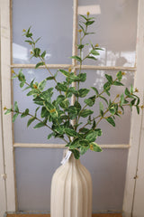 Captured In Time Foliage Stem