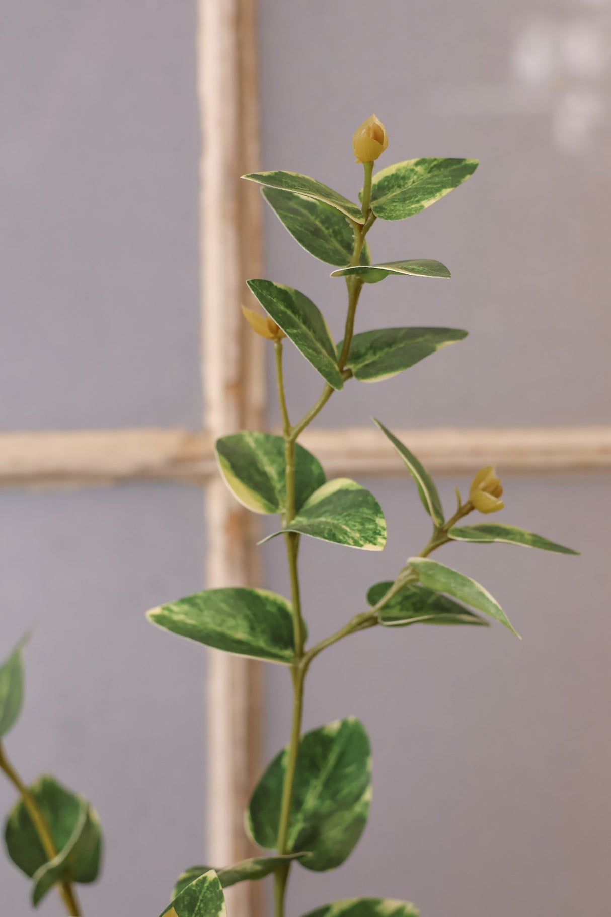 Captured In Time Foliage Stem