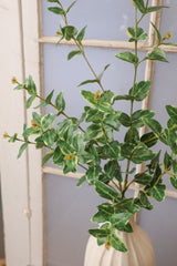 Captured In Time Foliage Stem