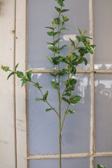 Captured In Time Foliage Stem