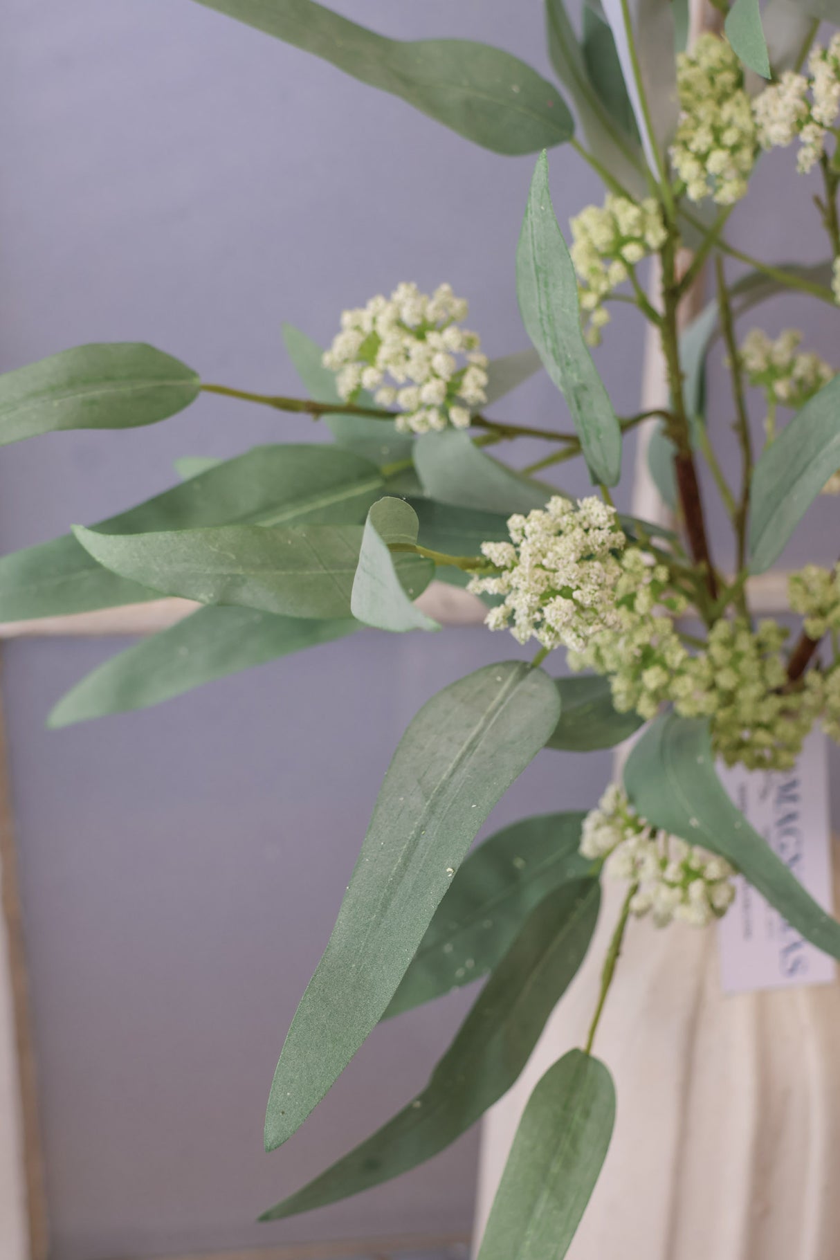 Classic Eucalyptus Spray