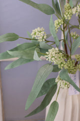 Classic Eucalyptus Spray