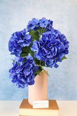 Blue Hydrangea Bush