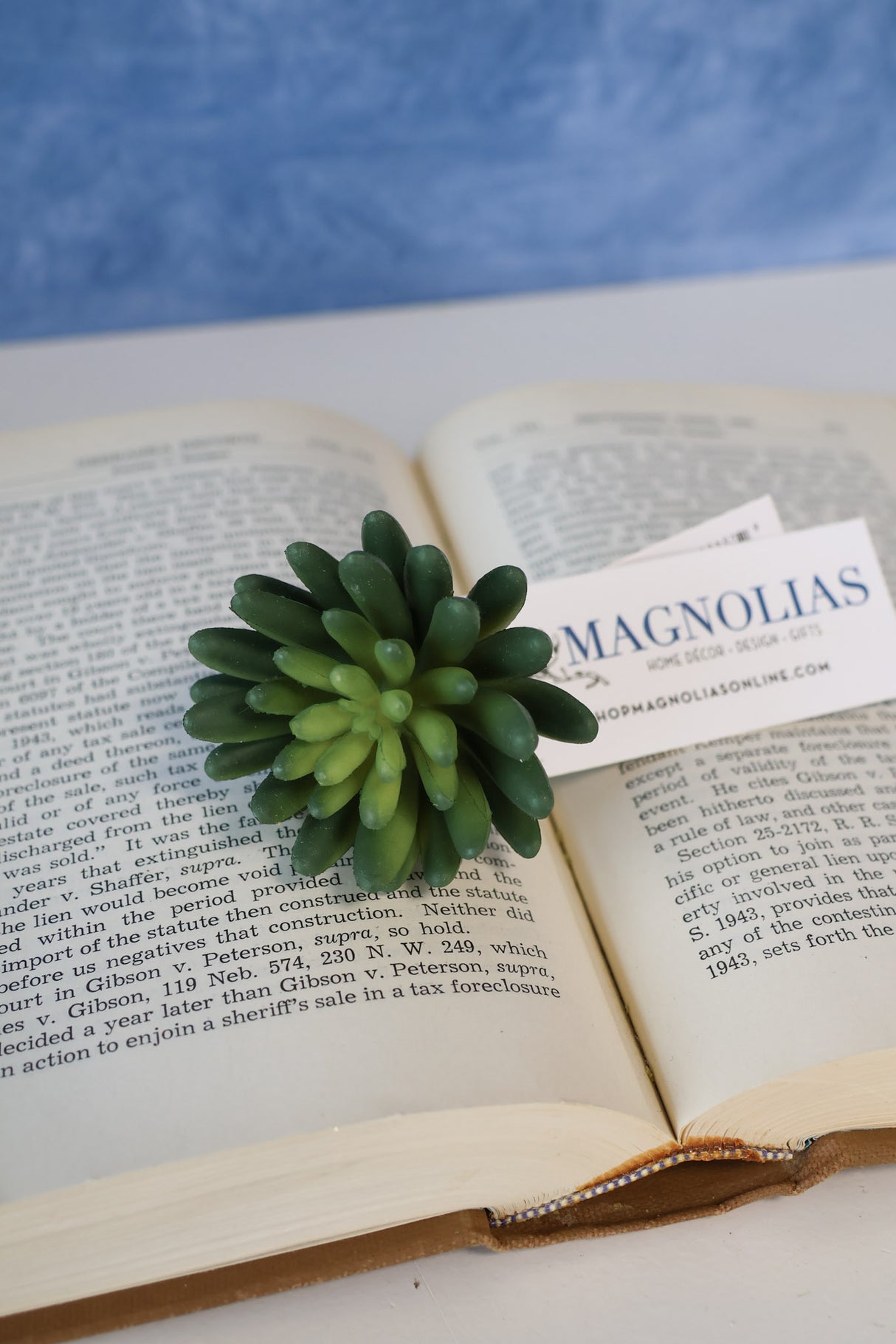 Marietta Finger Succulent