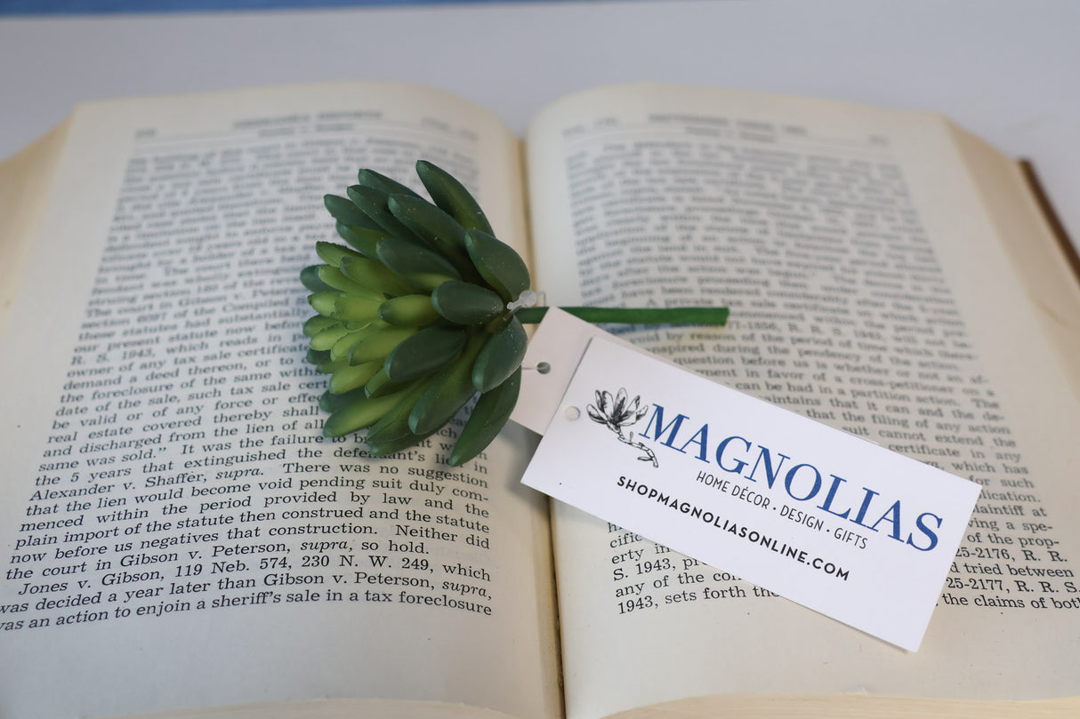 Marietta Finger Succulent