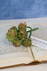 Nantucket Mini Wheel Succulent