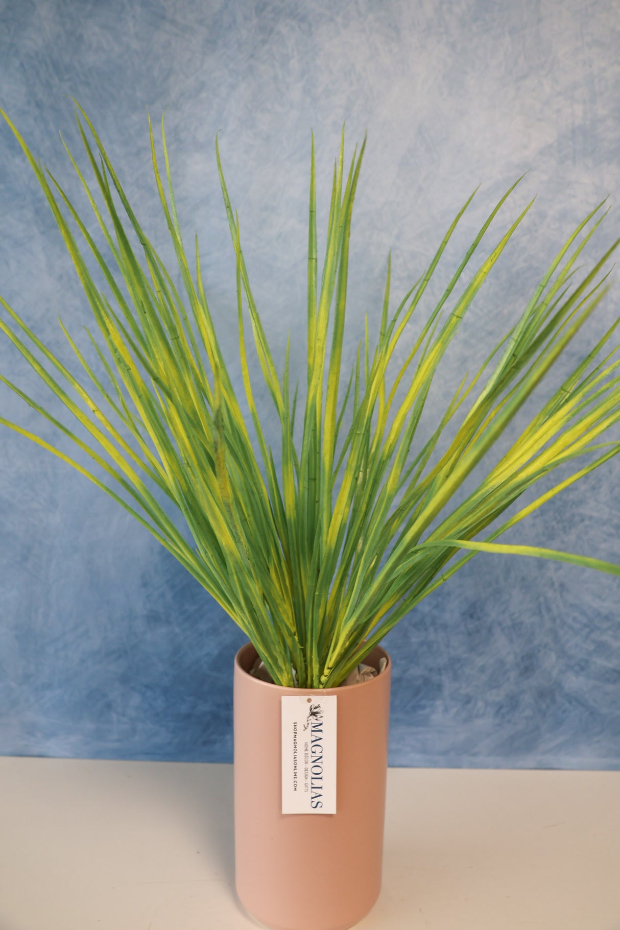 Pacific Grove Zebra Grass Bush