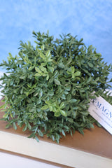 New England Boxwood Half Sphere