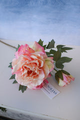 Fresh Pink Peony Stem