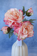 Fresh Pink Peony Stem