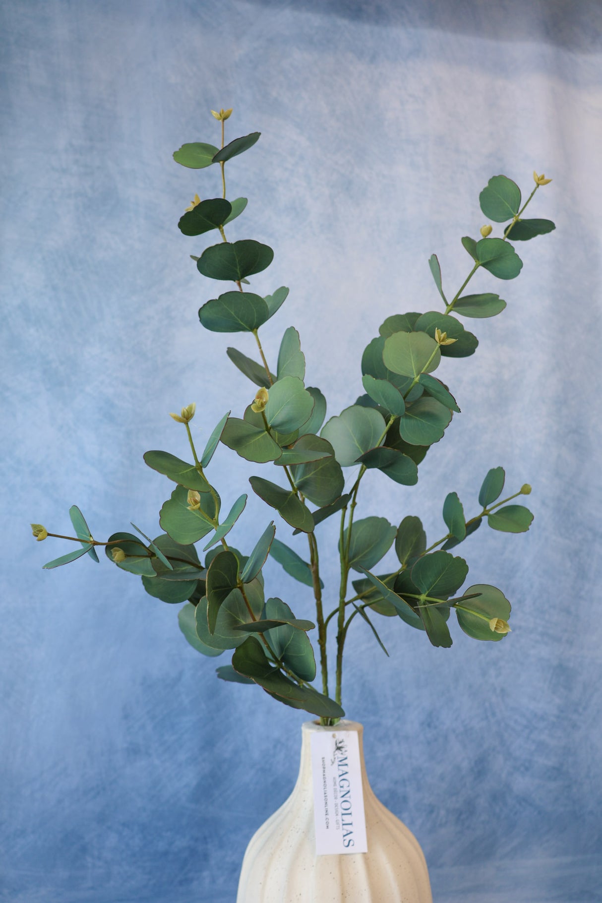 Symphony Eucalyptus Spray