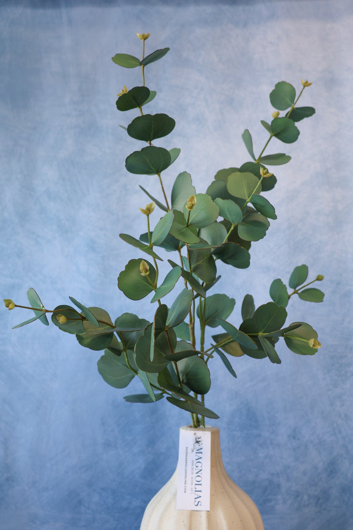 Symphony Eucalyptus Spray