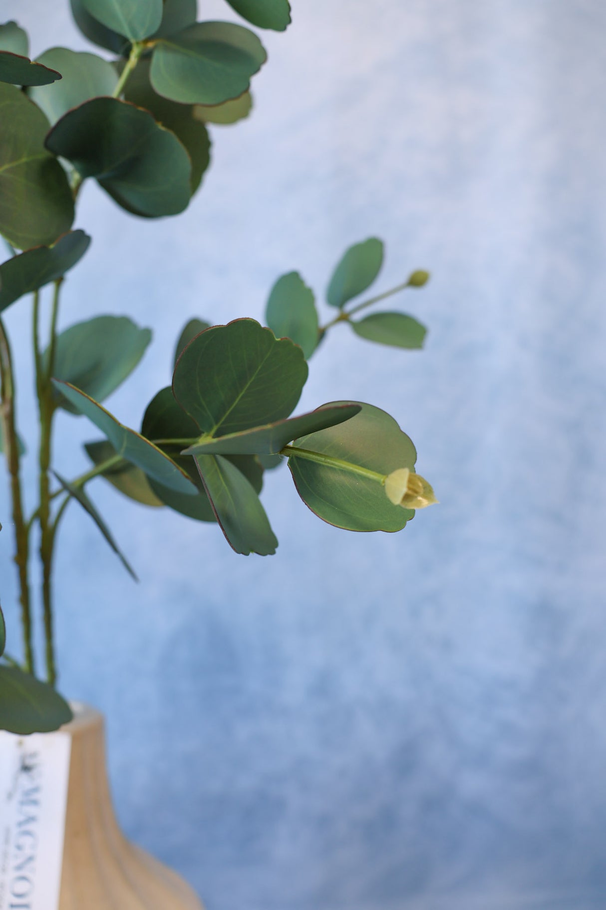 Symphony Eucalyptus Spray