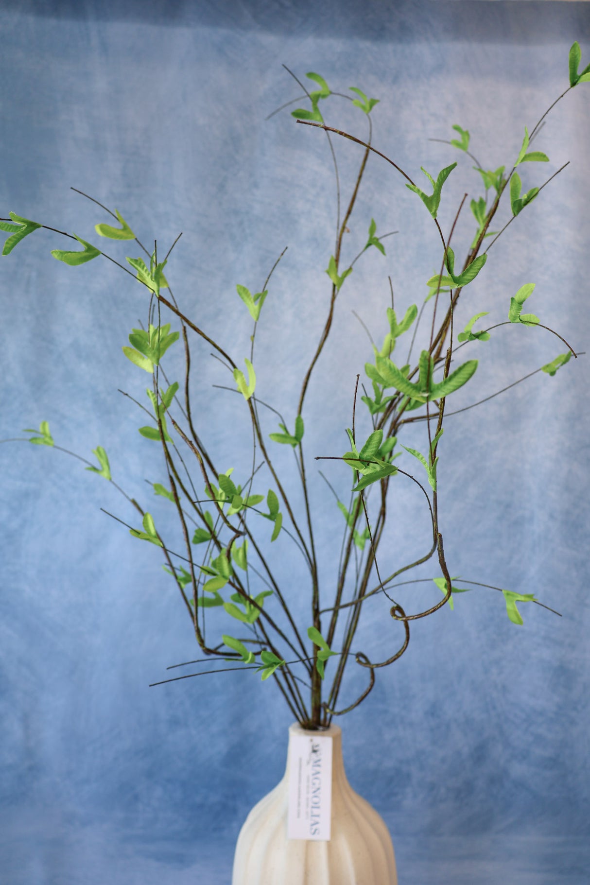 Full Life Willow Branch