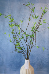 Full Life Willow Branch