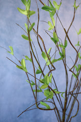 Full Life Willow Branch