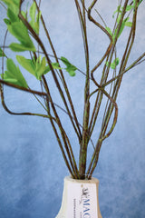 Full Life Willow Branch