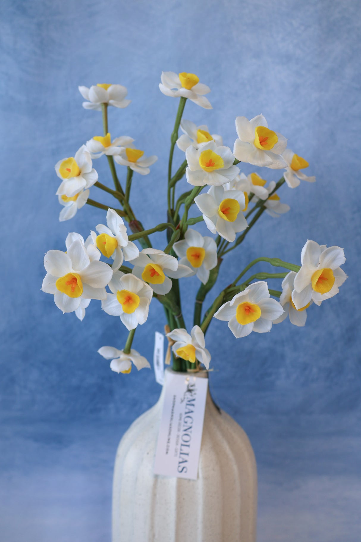 Cream Real Touch Daffadilly Bundle