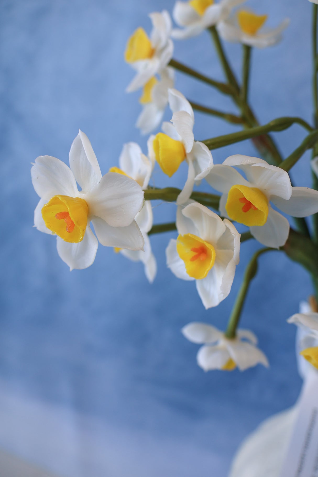 Cream Real Touch Daffadilly Bundle