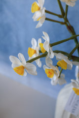 Cream Real Touch Daffadilly Bundle