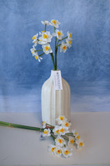 Cream Real Touch Daffadilly Bundle