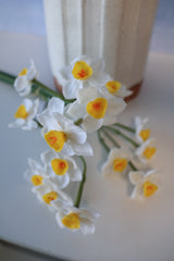 Cream Real Touch Daffadilly Bundle