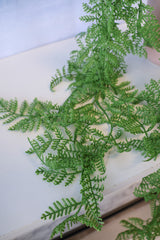 Real Touch Joy Fern Hanging Bush