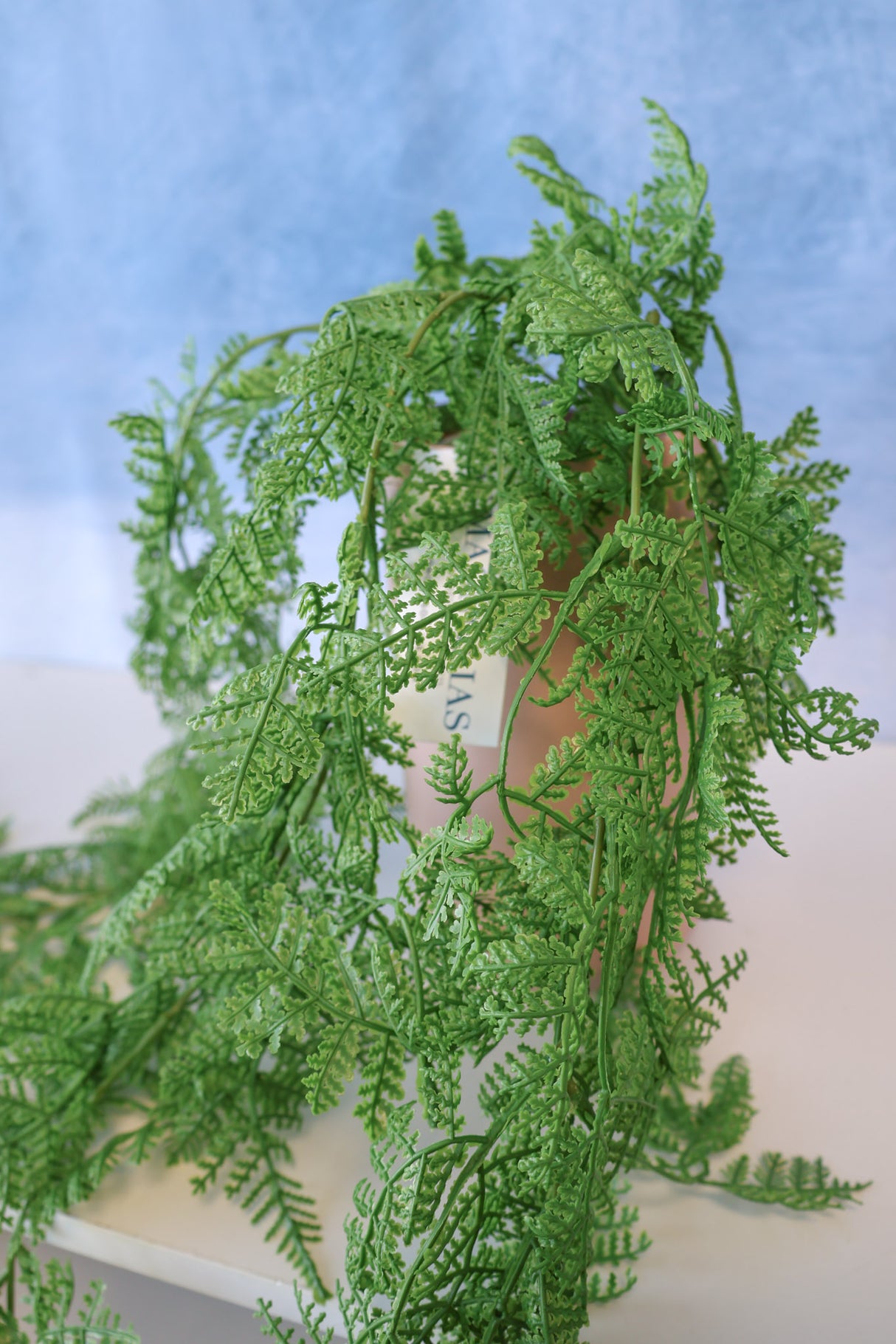 Real Touch Joy Fern Hanging Bush