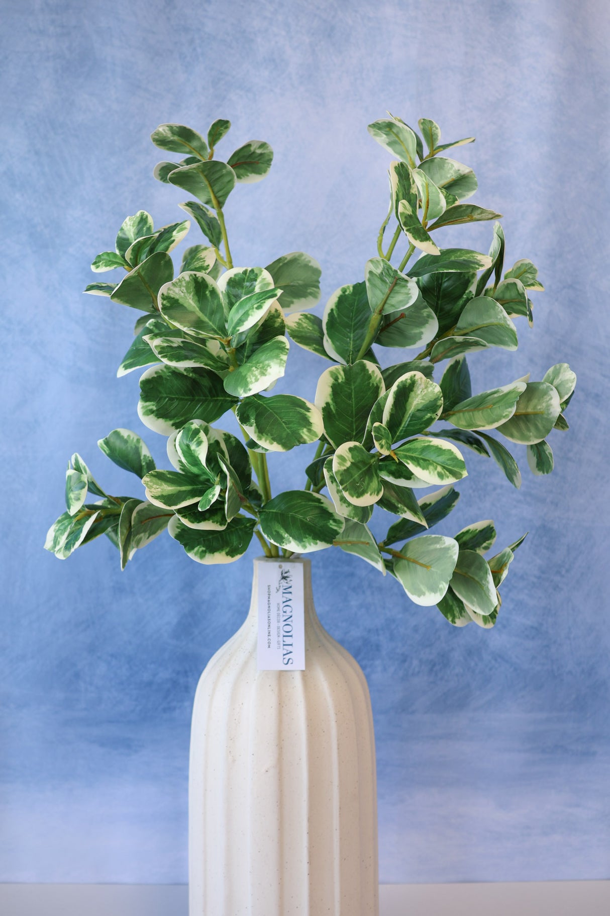 Real Touch Variegated Pittosporum Bush