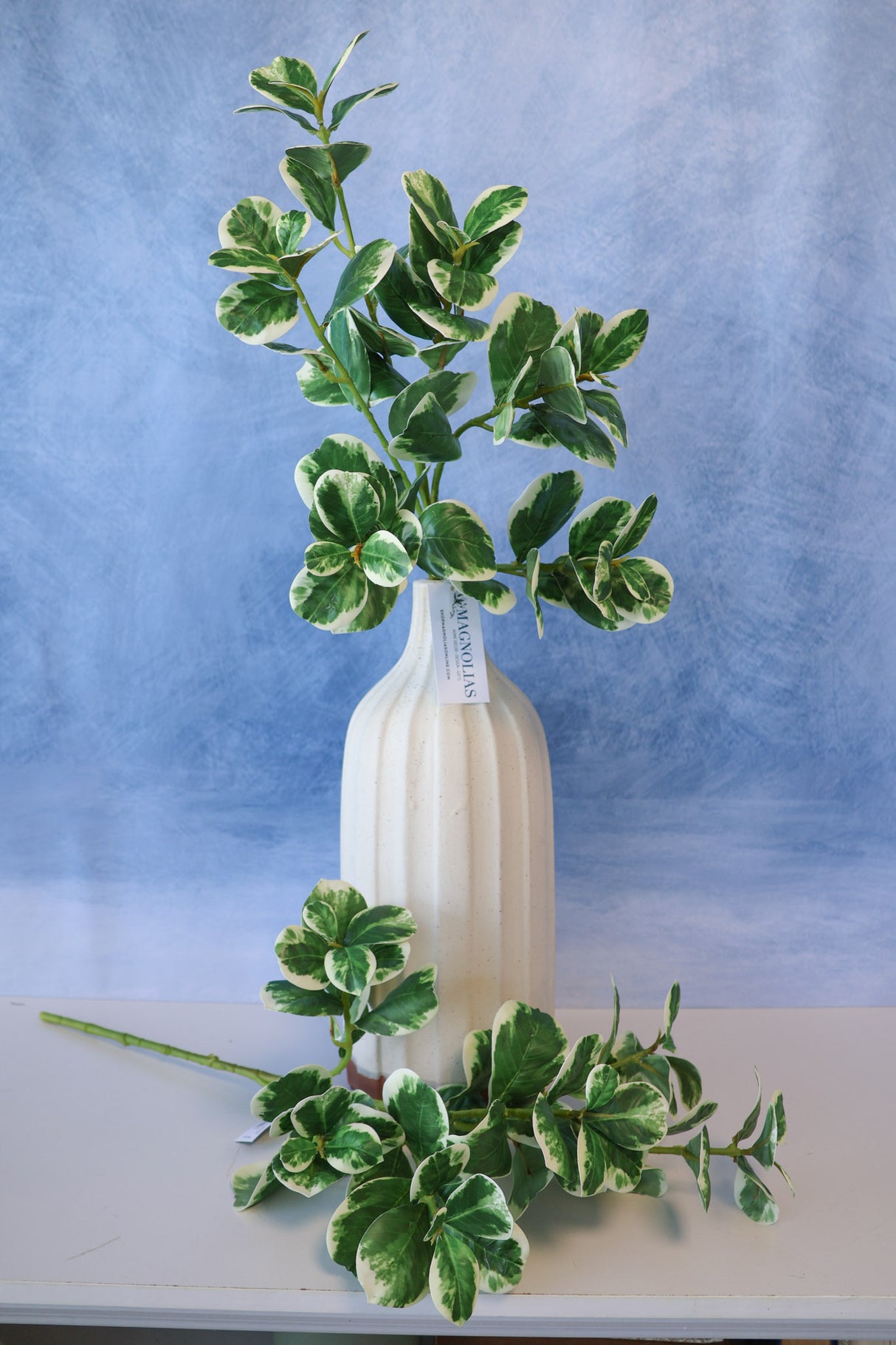 Real Touch Variegated Pittosporum Bush