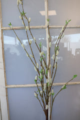 Jumbo Finding Beauty Willow Stem