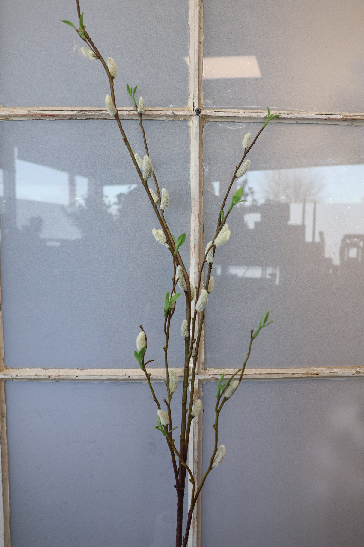 Jumbo Finding Beauty Willow Stem