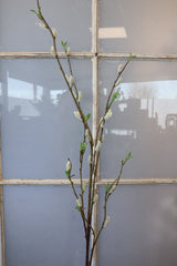 Jumbo Finding Beauty Willow Stem