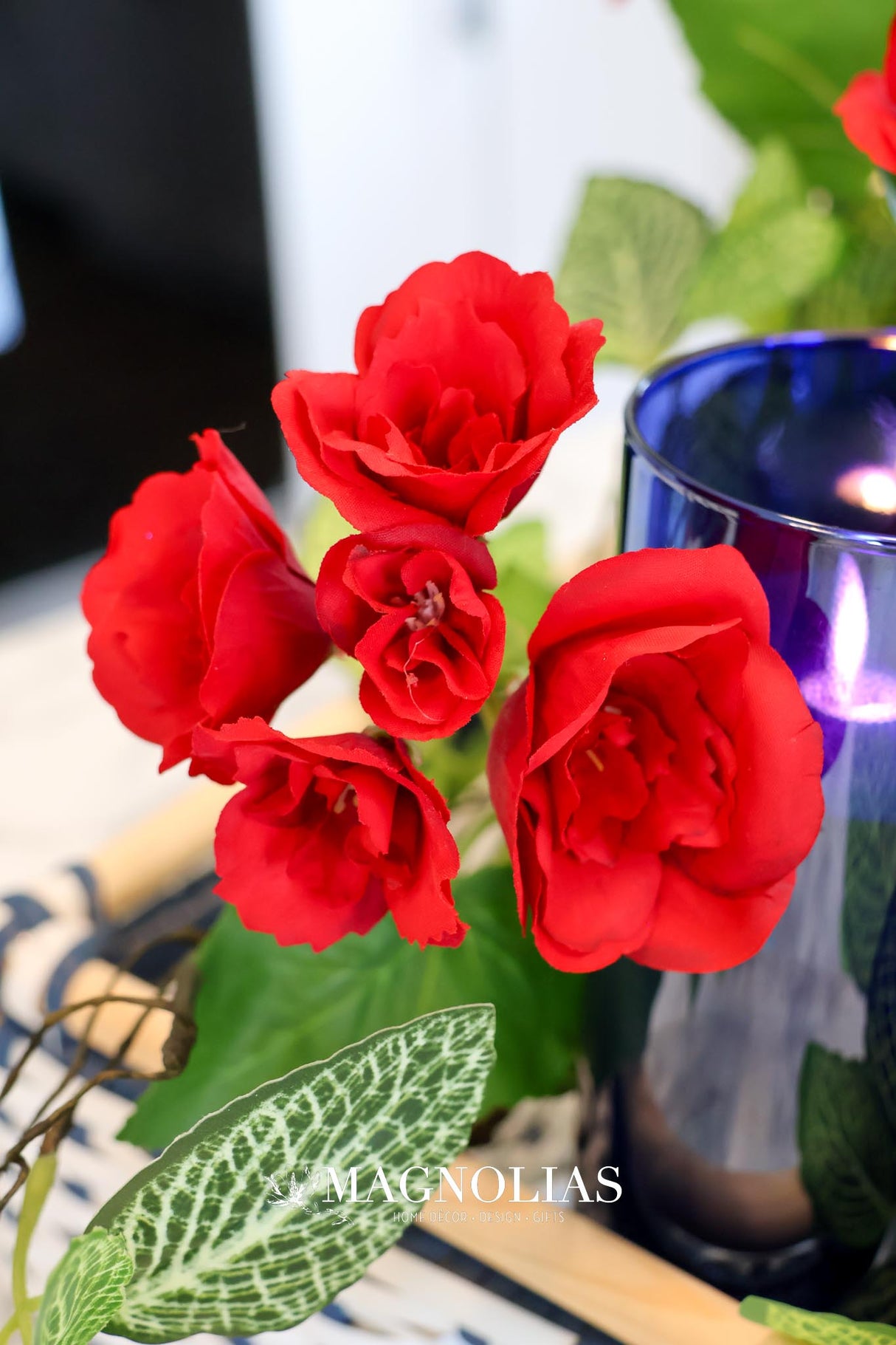 UV Protect Red Begonia Bush