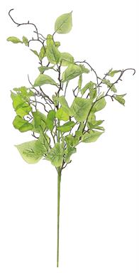 Elm Leaf & Tassel Seed Spray