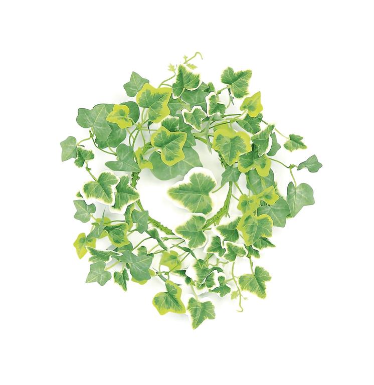 14" Cottage Ivy Candle Ring