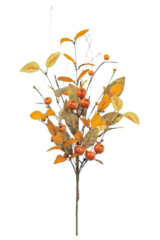 Orange Crater Berry Pick