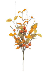 Orange Crater Berry Pick