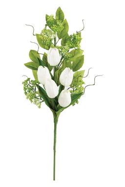 Winslow Tulip Seeded Berry