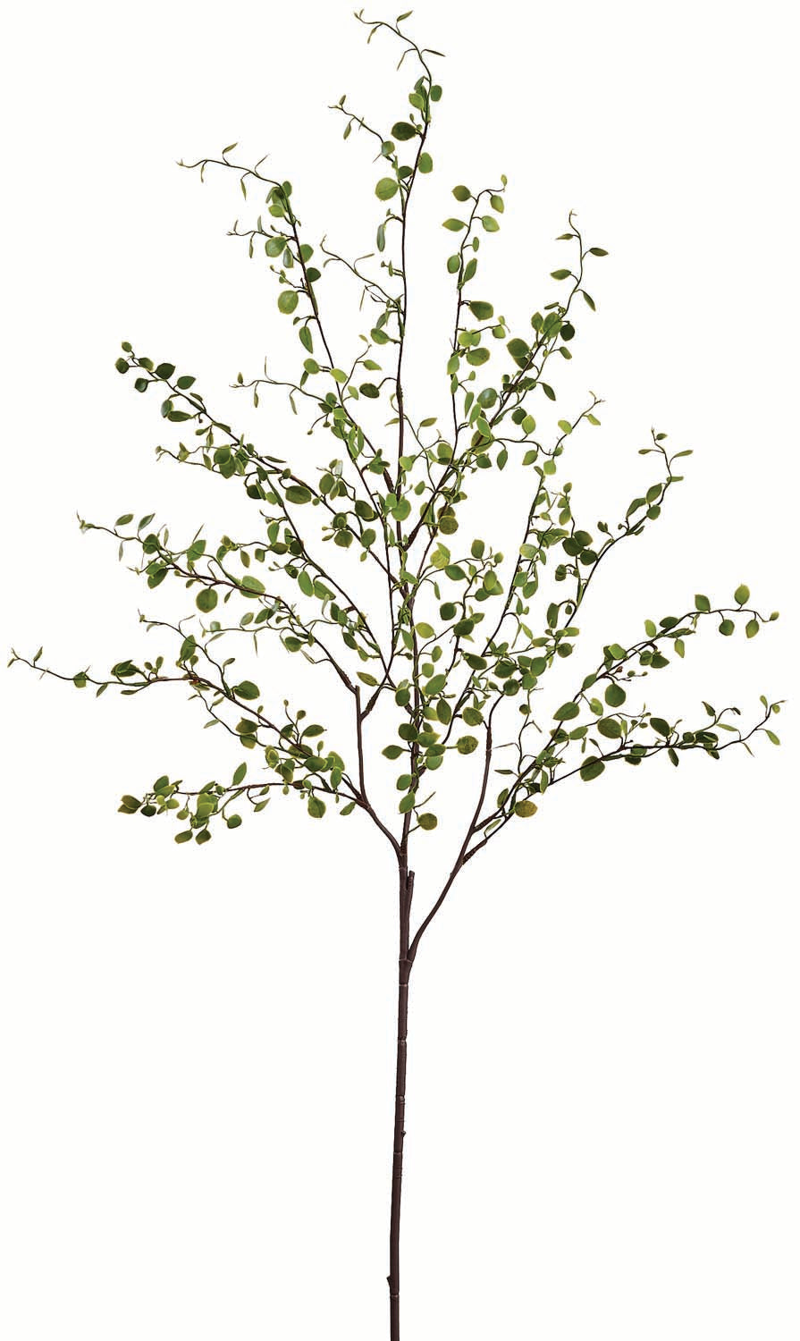 Mini Leaf Weedy Spray