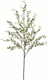 Mini Leaf Weedy Spray