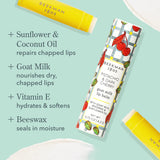 Pistachio & Dark Cherry Lip Balm