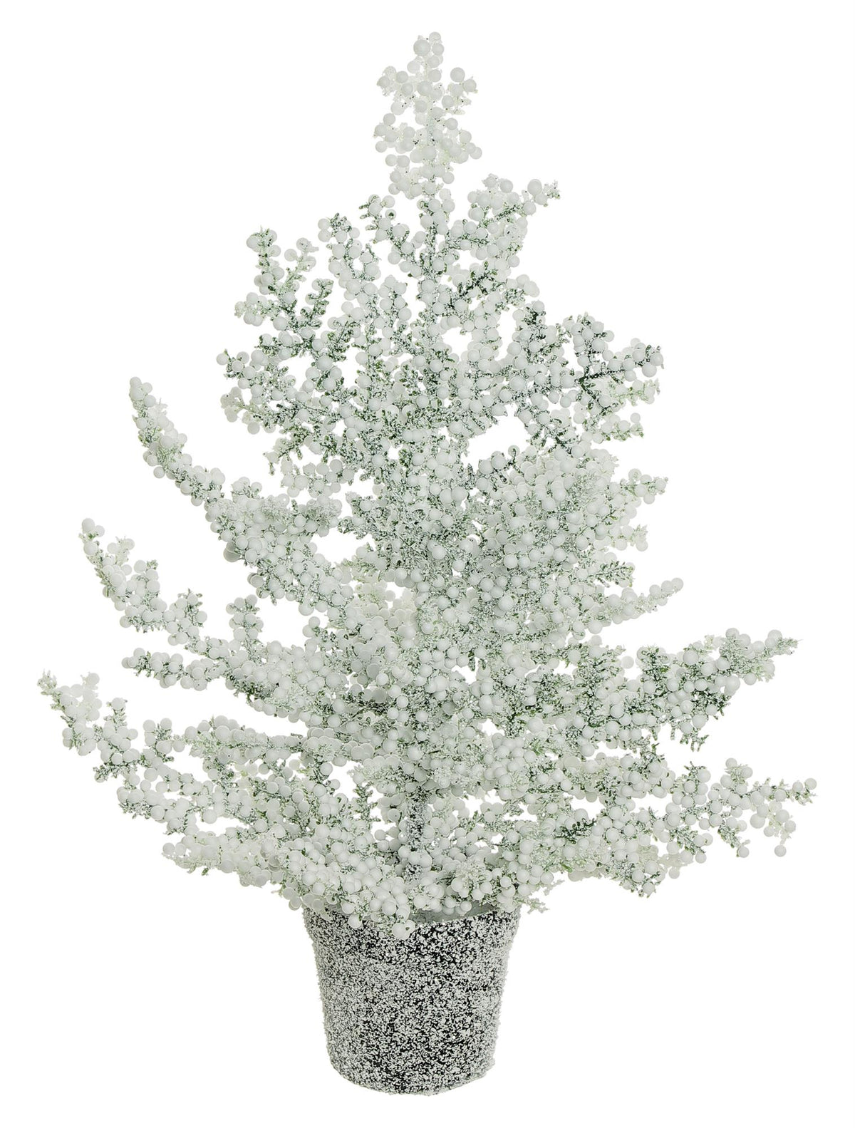 Small Snow Bubble Tree in Pot
