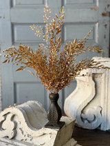 Ambermist Sage Bush