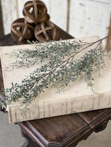 Green Lacewing Leaves Spray