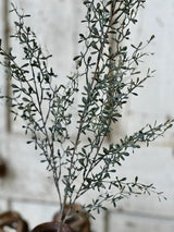 Green Lacewing Leaves Spray