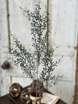 Green Lacewing Leaves Spray