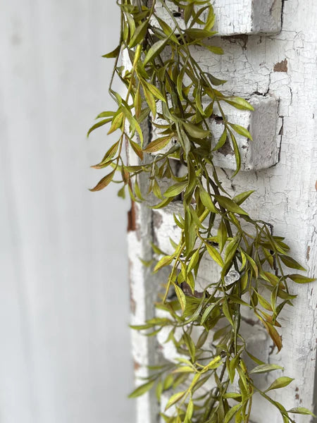 Smilax Garland